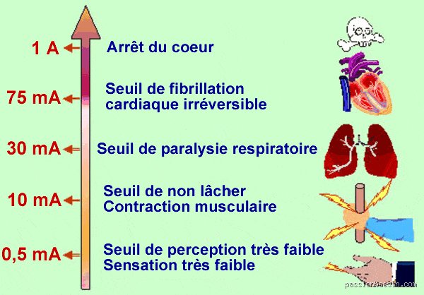 Quels sont les effets d'une légère décharge électrique sur le corps : entre simple picotement et mécanismes biologiques méconnus