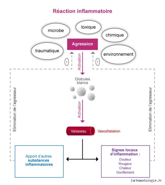Quels sont les quatre indicateurs courants d'inflammation ? Décryptage d'une alerte biologique