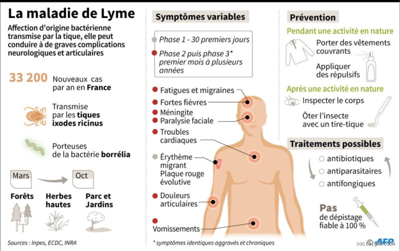 Symptômes de la maladie de lymphe : ce qu'il faut savoir