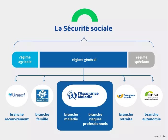 Qui bénéficie de la Sécurité sociale ? Une exploration des ayants droit réels en France