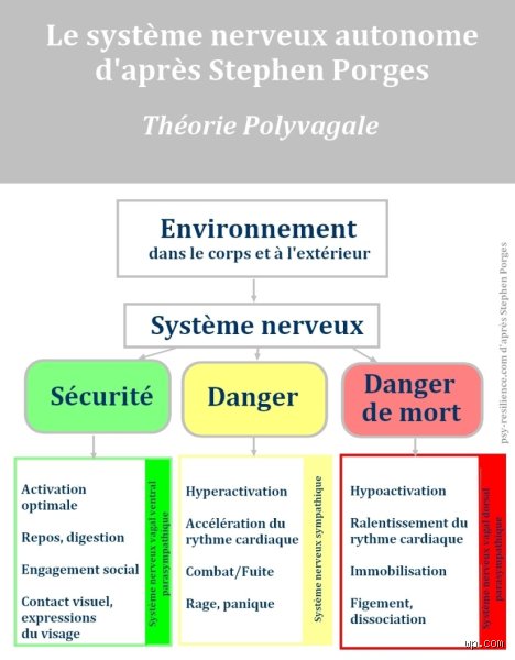 À quel stade du traumatisme correspond la colère : comprendre cette décharge de survie nécessaire mais souvent mal aimée