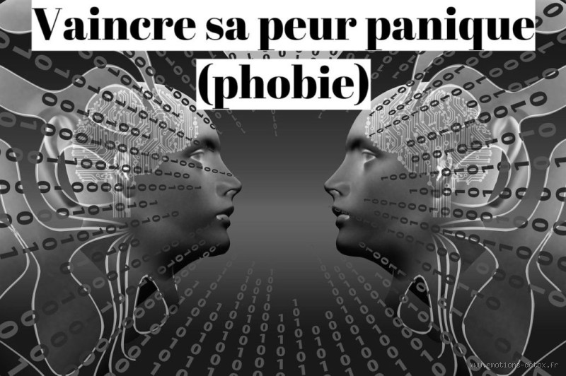 Peur panique des motos : comment s’appelle cette phobie ?
