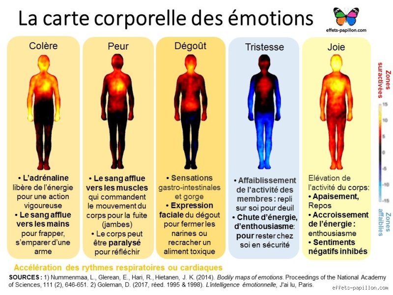 Comment appelle-t-on une personne qui ressent les émotions ?