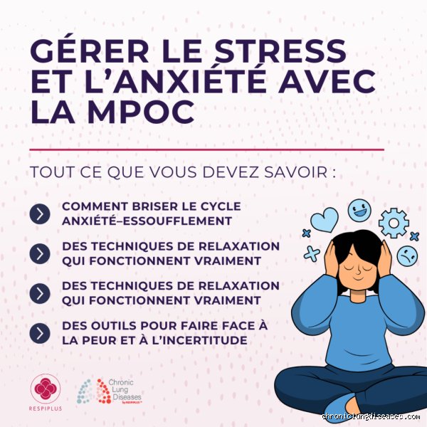 Comment briser l'anxiété ? Le guide neuroscientifique pour reprogrammer votre cerveau face aux crises