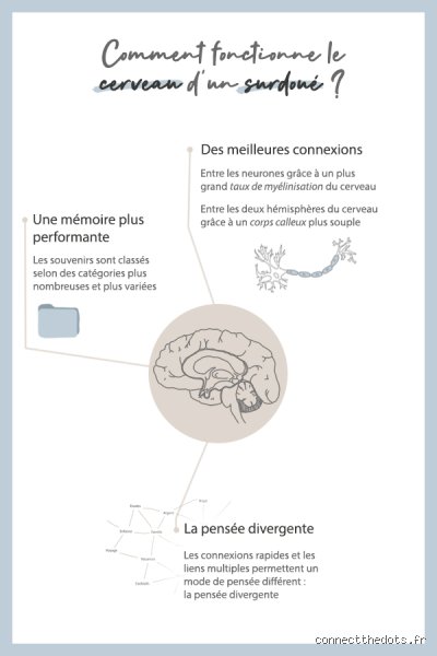 Comment fonctionne le cerveau d'un surdoué ?
