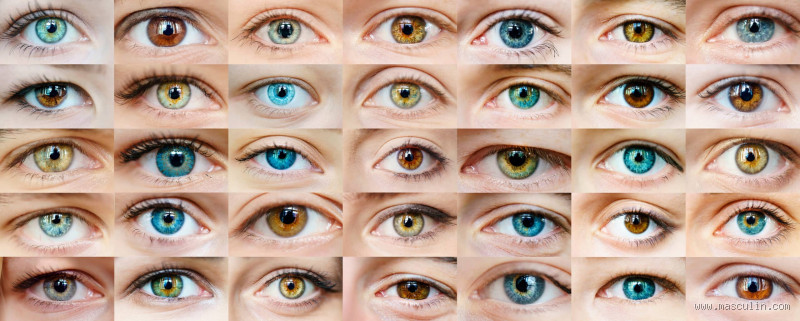 Comment appelle-t-on une personne qui a un œil bleu et un œil vert ?