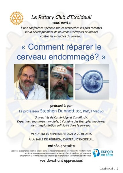 Les voies réelles pour tenter de réparer un cerveau endommagé : ce que la science nous dit vraiment
