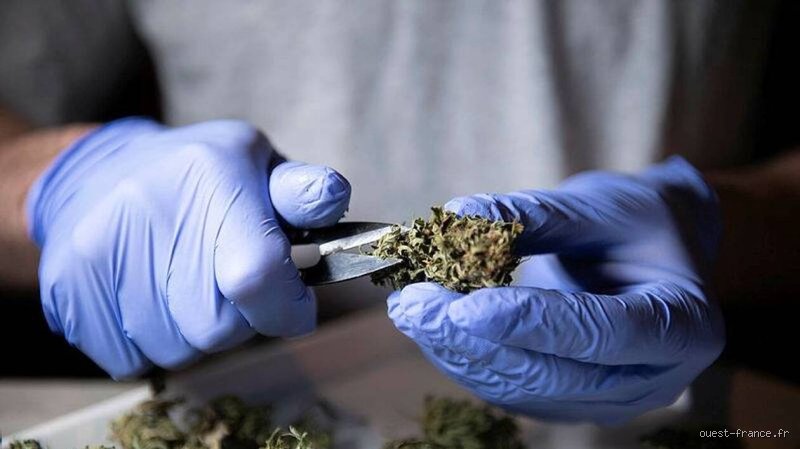 Comment s'appelle la drogue légale en France : plongée au cœur d'un paradoxe législatif et sociétal