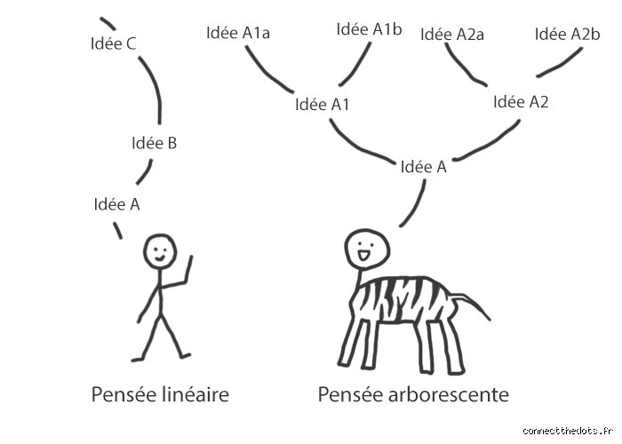 Comment savoir si on a une pensée en arborescence ?
