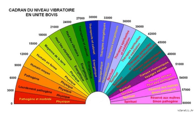Comment savoir si votre niveau vibratoire est élevé : le guide technique pour décoder l'énergie invisible qui pilote votre quotidien