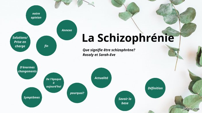 Comment vivent les schizophrènes ?