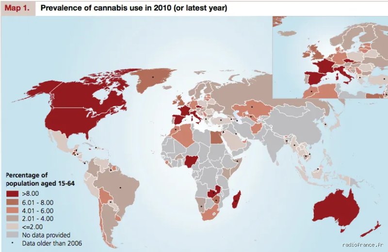 Existe-t-il des pays qui n'ont pas de problème de drogue ? La vérité brute sur un monde sans paradis fiscaux de la stupéfaction