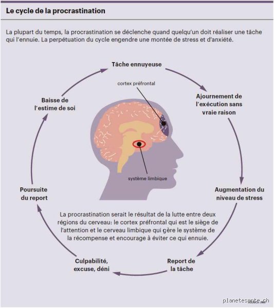 La procrastination sévère est-elle une maladie mentale ? Enquête aux frontières de la psychiatrie moderne