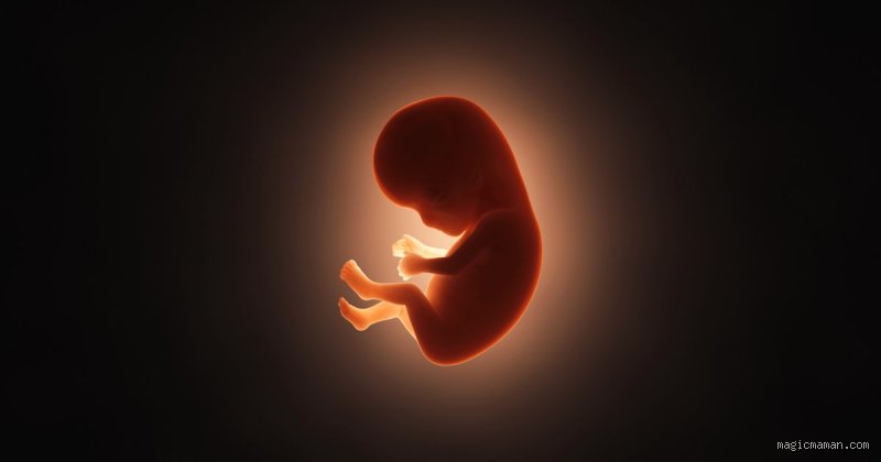 Les bébés peuvent-ils ressentir de l'amour dans le ventre de leur mère : la science lève enfin le voile sur le mystère fœtal