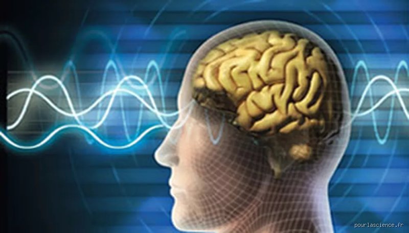 Les fréquences ont-elles réellement un impact sur le cerveau ou n'est-ce qu'une vaste supercherie marketing ?