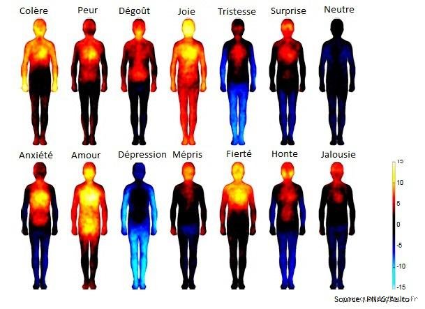 Où ressent-on la colère dans le corps ? Cartographie d'un embrasement physiologique immédiat
