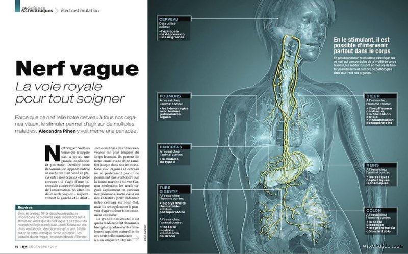 Où se loge l'angoisse dans le corps ? Cartographie d'une invasion silencieuse qui nous paralyse de l'intérieur