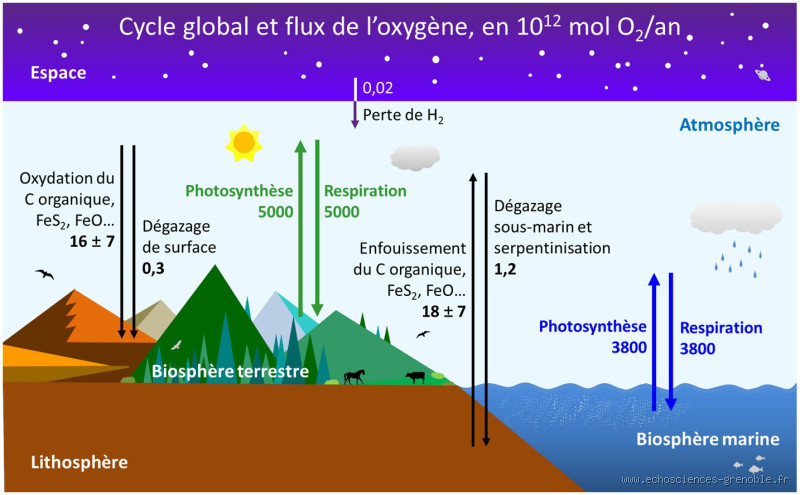 Pourquoi de l’oxygène en fin de vie ? Ce que ça change vraiment