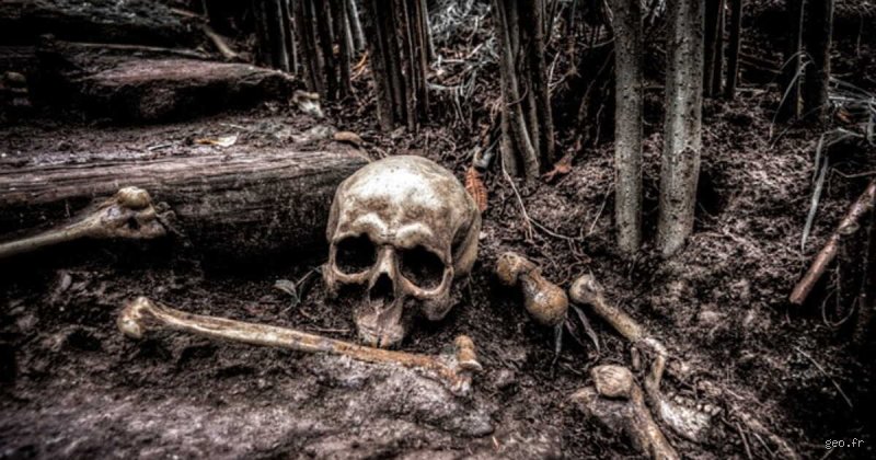 Pourquoi S'Enterrer Face Contre Terre : L'Ultime Tentative de Disparaître ?