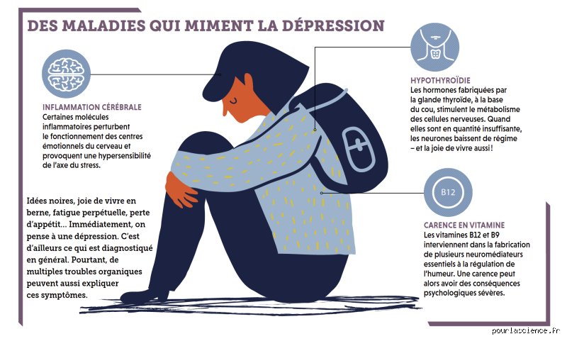Pourquoi la pauvreté provoque-t-elle la dépression ? Comprendre l'engrenage psychologique de la précarité financière