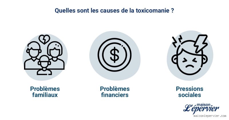 Qu'est-ce qui pousse les gens à prendre des drogues ? Enquête sur les mécanismes profonds de la consommation humaine