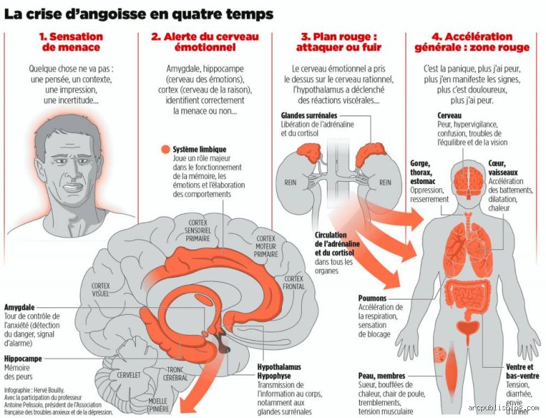Qu'est-ce qui provoque l'anxiété dans le cerveau ? Comprendre enfin la mécanique neuronale de nos angoisses modernes