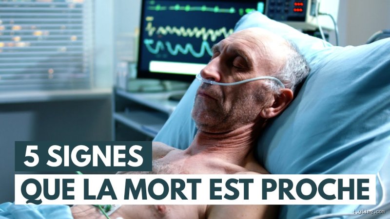 Quand la Faucheuse se Fait Désirer : Décrypter les Signes de l'Approche de la Mort