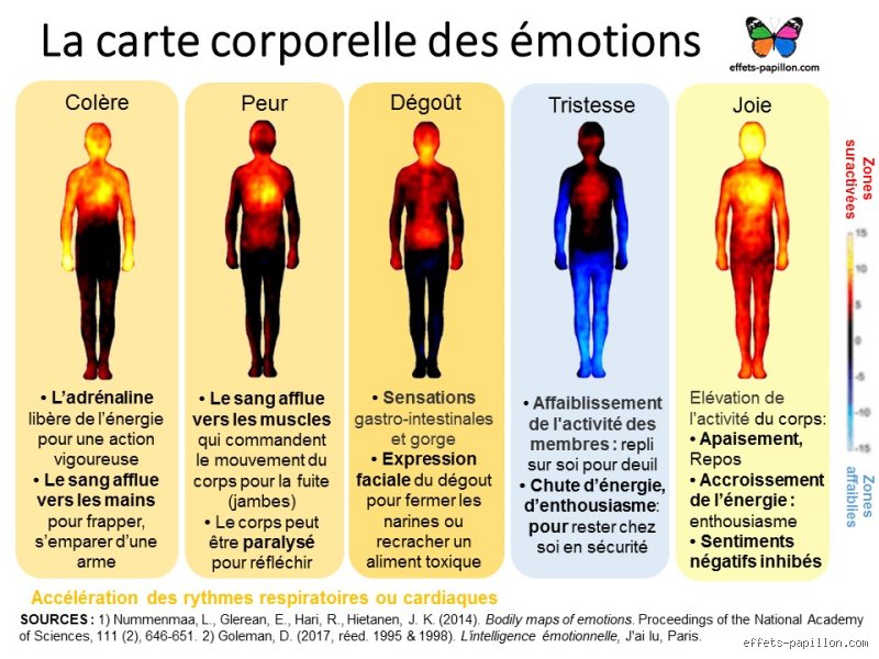 Quel est le centre des émotions ? Une exploration du cerveau et de nos ressentis