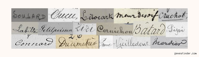 Quel est le nom le plus insolite qui soit ? Enquête au cœur des patronymes et prénoms les plus improbables de l'histoire