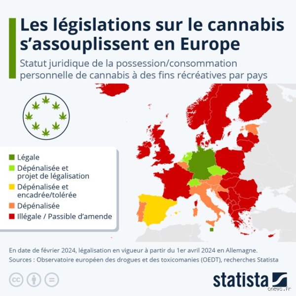 Quelle drogue est autorisée ? Le guide complet sur le cadre légal des substances psychoactives en France