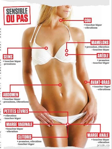 Quelle est la partie du corps la plus sensible à toucher chez une femme ?