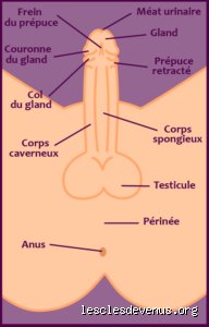 Quelle est la partie la plus intime de l'homme ? Au-delà du physique, voyage au cœur de la vulnérabilité masculine