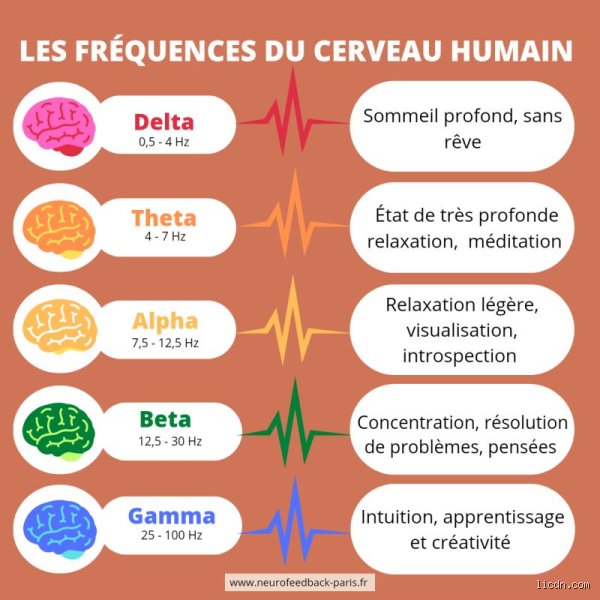 Quelle fréquence peut remodeler votre cerveau ? La science derrière les sons qui transforment réellement vos neurones