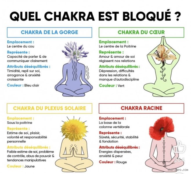 Quelles émotions bloquent les chakras : le guide complet pour identifier les verrous énergétiques qui empoisonnent votre quotidien