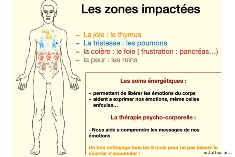 Quelles émotions sont stockées dans les jambes ? Voyage au cœur de nos mémoires musculaires enfouies