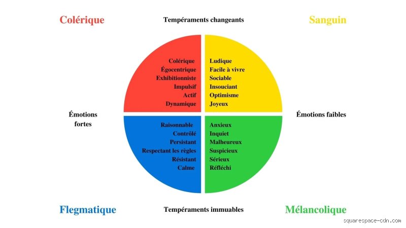 Quelles sont les 4 théories de la psychologie ? Radiographie d’une science qui fracture notre matière grise