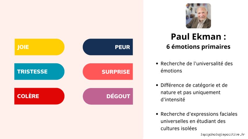 Quelles sont les 6 émotions ? Le guide complet pour décrypter enfin la palette universelle qui régit votre cerveau