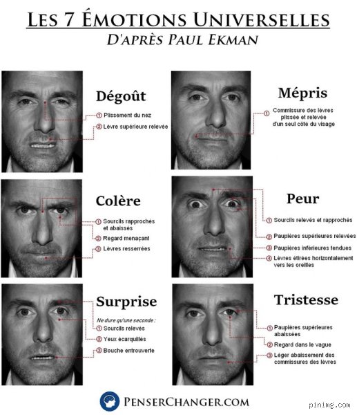 Quelles sont les 7 émotions humaines ? Le guide complet pour enfin comprendre ce qui nous traverse vraiment