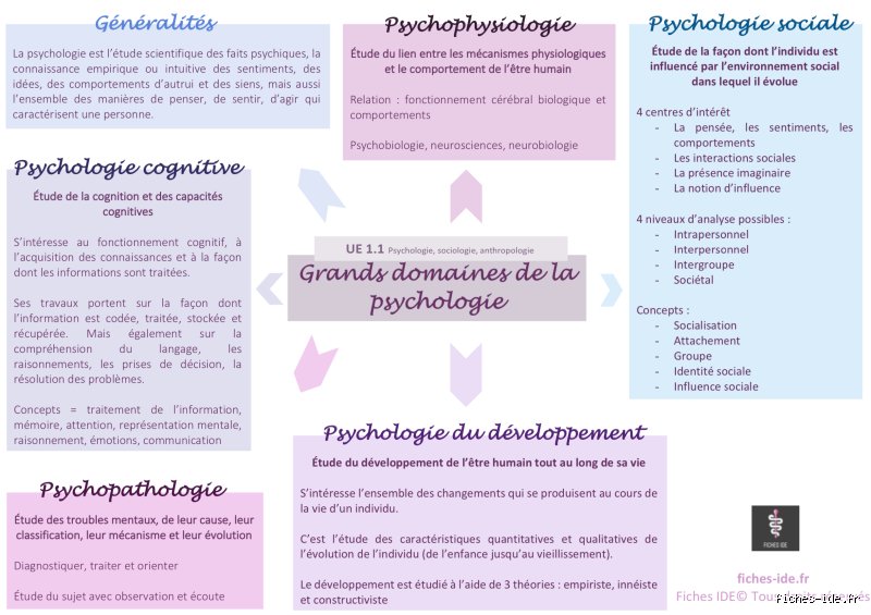 Quelles sont les 7 principales théories de la psychologie et leurs applications concrètes dans notre quotidien ?