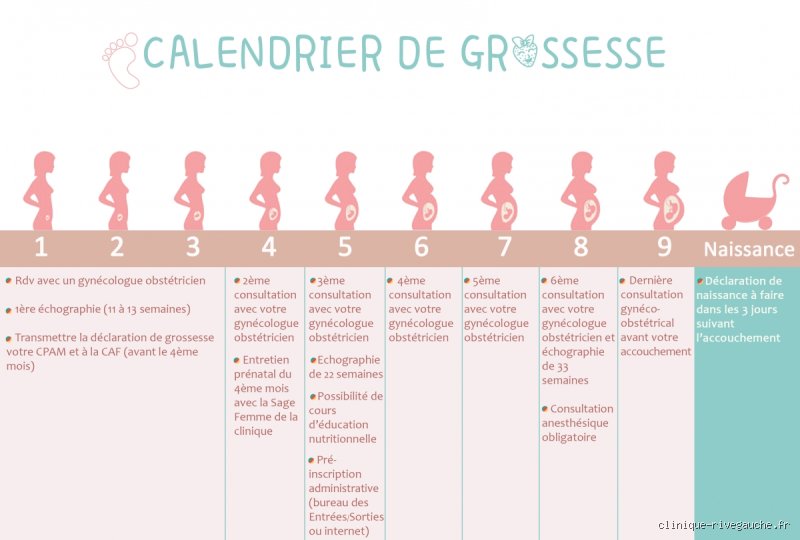 Les semaines de grossesse les plus difficiles : Quand le corps et l'esprit vous lâchent vraiment