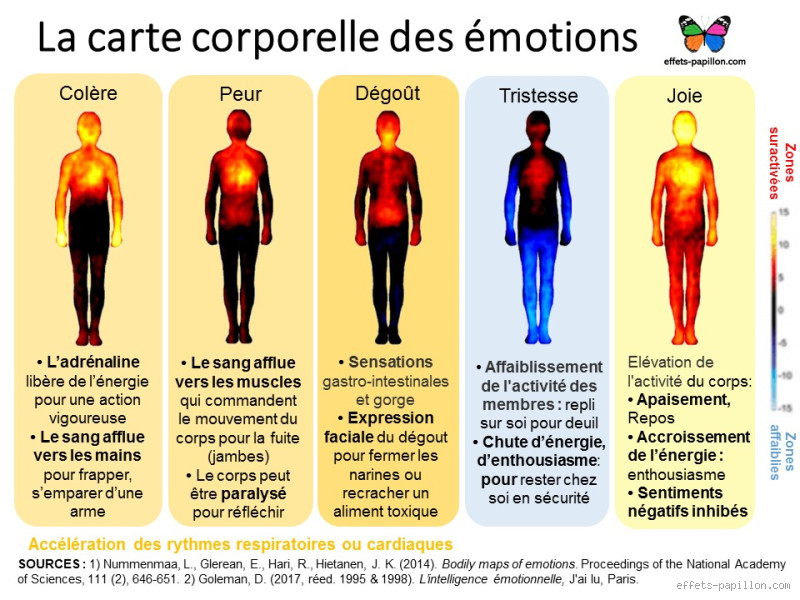 Quels sont les symptômes de la peur ? Décoder cette émotion intense