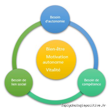 Quelles sont les théories psychologiques majeures et comment façonnent-elles réellement notre compréhension de l'esprit humain aujourd'hui ?
