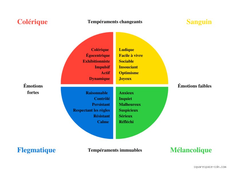 Quels sont les 4 types de personnalité en psychiatrie ? Comprendre la structure psychologique et les tempéraments fondamentaux