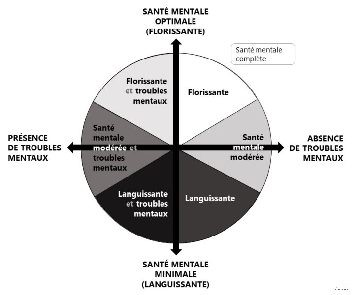 Quels sont les 4 types de santé mentale : comprendre enfin les nuances d’un équilibre fragile au-delà des clichés