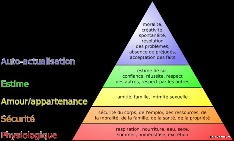 Quels sont les 5 besoins fondamentaux des êtres humains ? Enquête au cœur de nos manques invisibles
