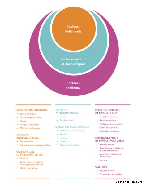 Quels sont les 5 C de la santé mentale et comment ces leviers psychologiques transforment-ils radicalement votre équilibre au quotidien ?