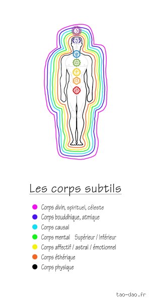 Quels sont les 7 corps énergétiques ? Au-delà du visible, la véritable cartographie de notre anatomie subtile