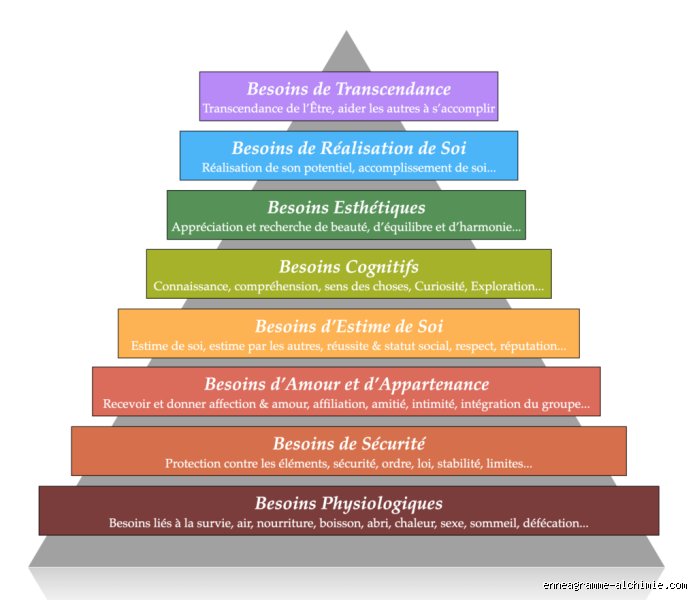 Quels sont les 9 besoins émotionnels : pourquoi comprendre notre architecture invisible change absolument tout au quotidien