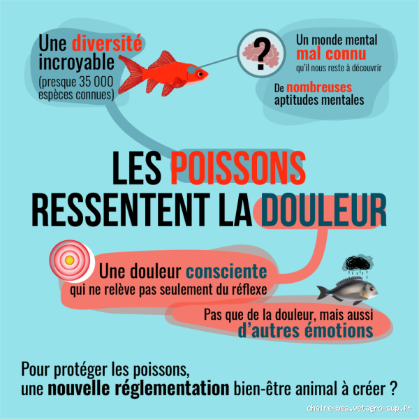 Quels sont les animaux qui ne ressentent pas la douleur ? Mystère fascinant