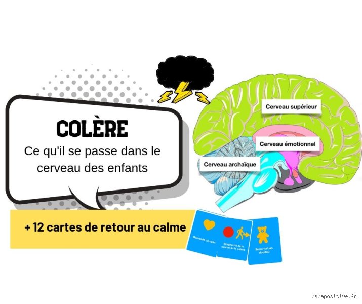 Quels sont les effets de la colère sur le cerveau : une plongée brutale dans la mécanique de nos tempêtes intérieures